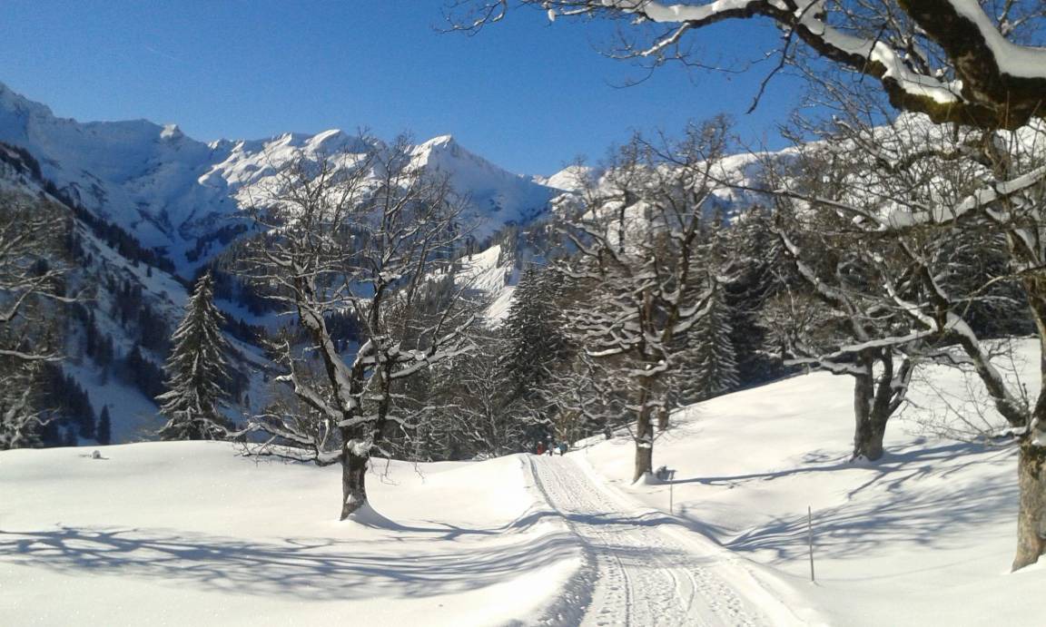 Photo of Others in Hinterstein