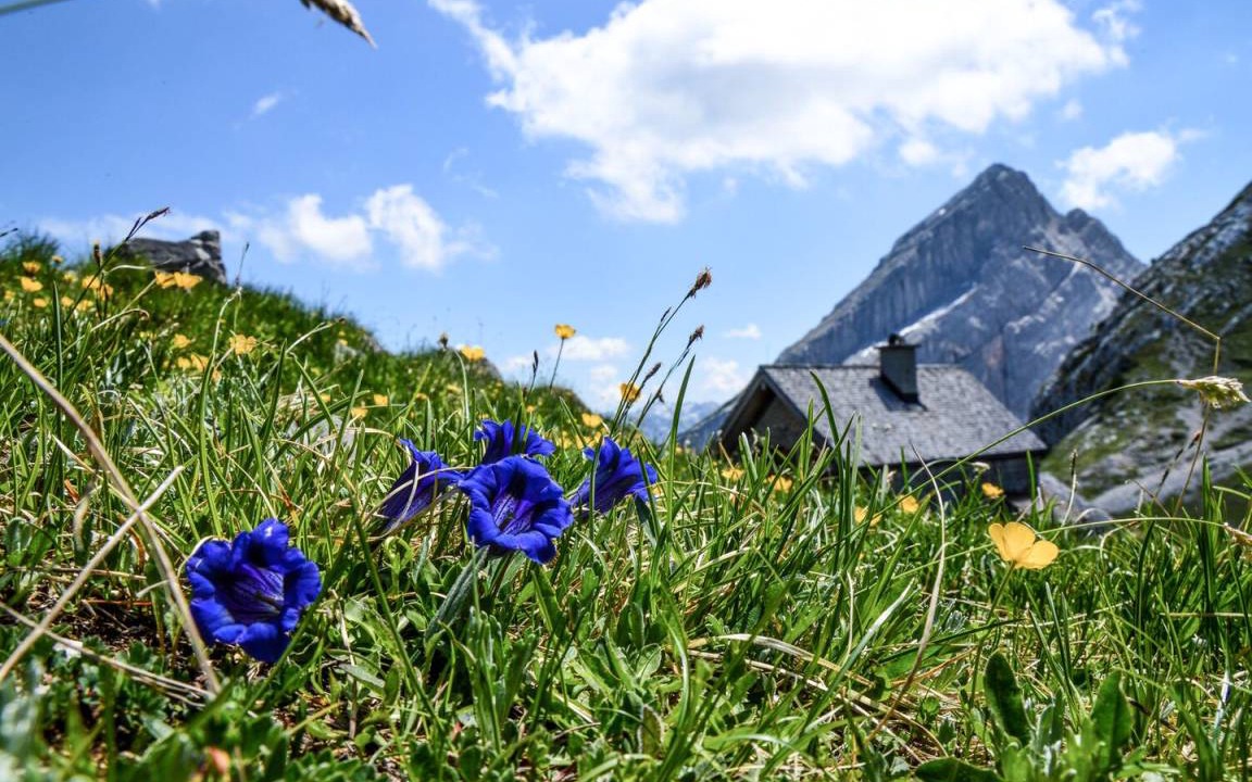 Photo of Others in Oberschonau