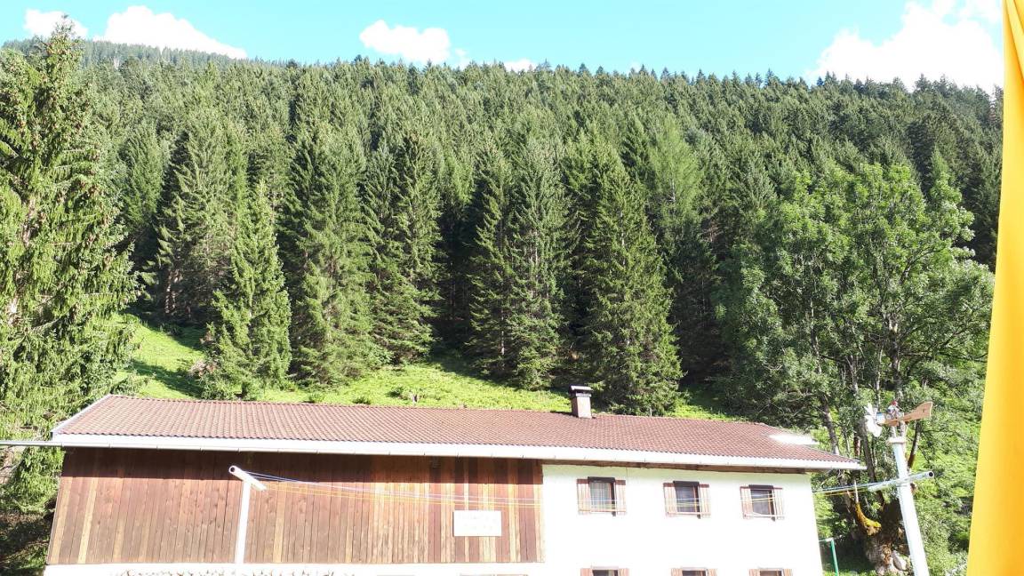 Photo of Others in Haeselgehr