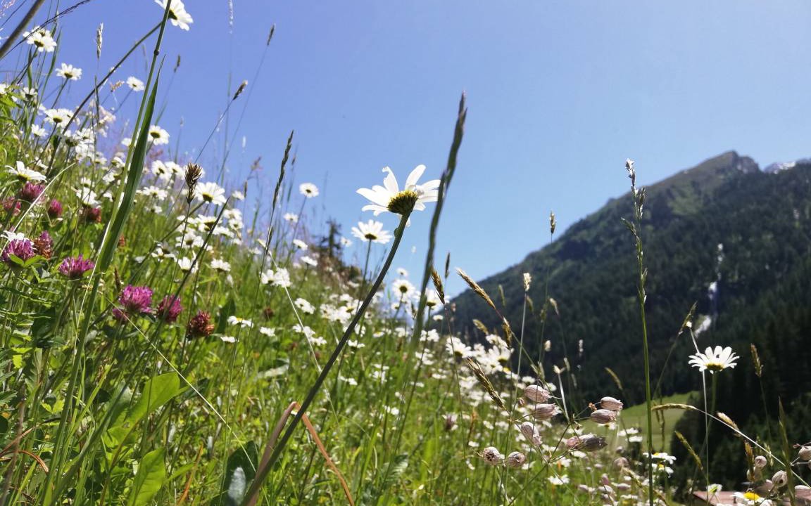 Photo of Others in Sankt Leonhard im Pitztal