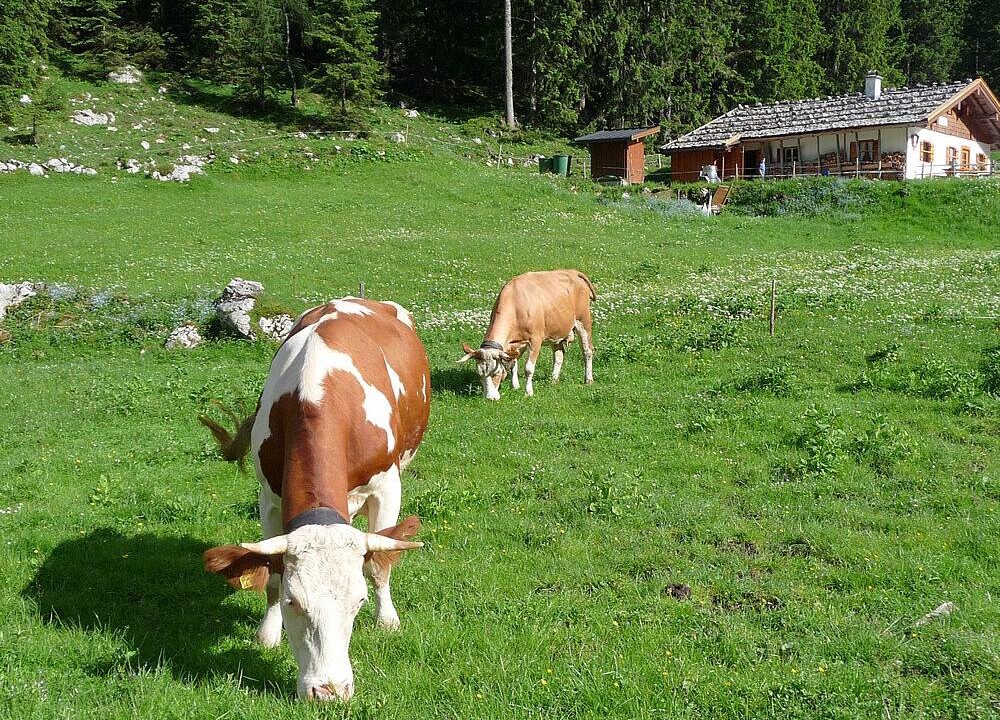 Photo of Others in Stanggaß