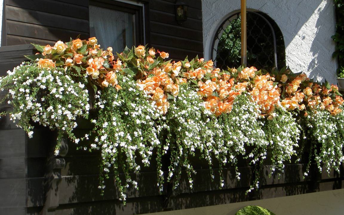 Photo of Patio Balcony in Prien am Chiemsee