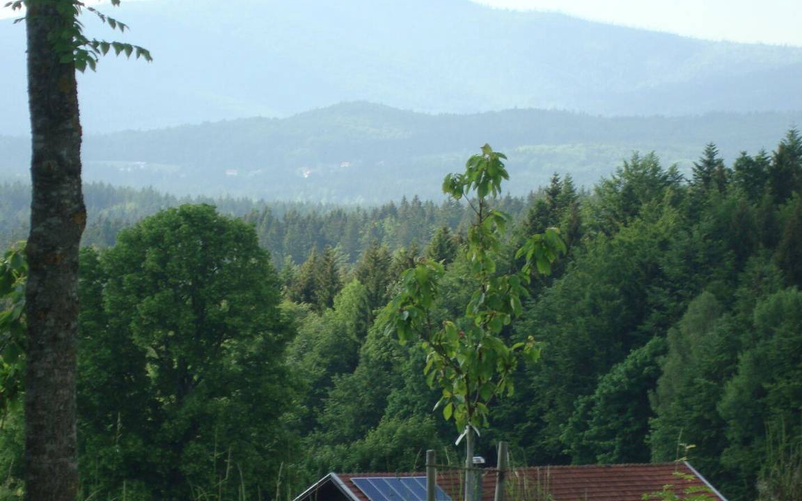 Photo of Others in Neuschoenau