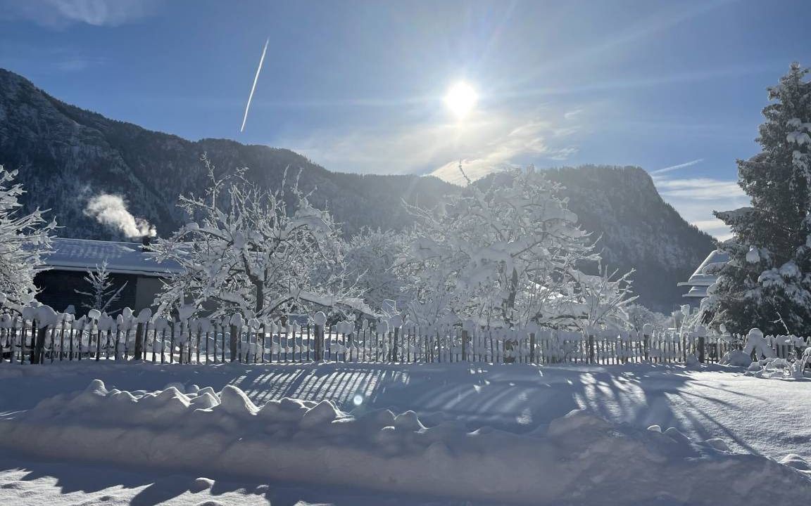 Photo of Others in Inzell