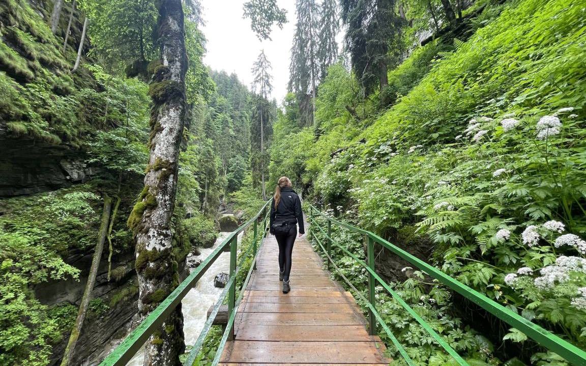 Photo of Others in Ofterschwang