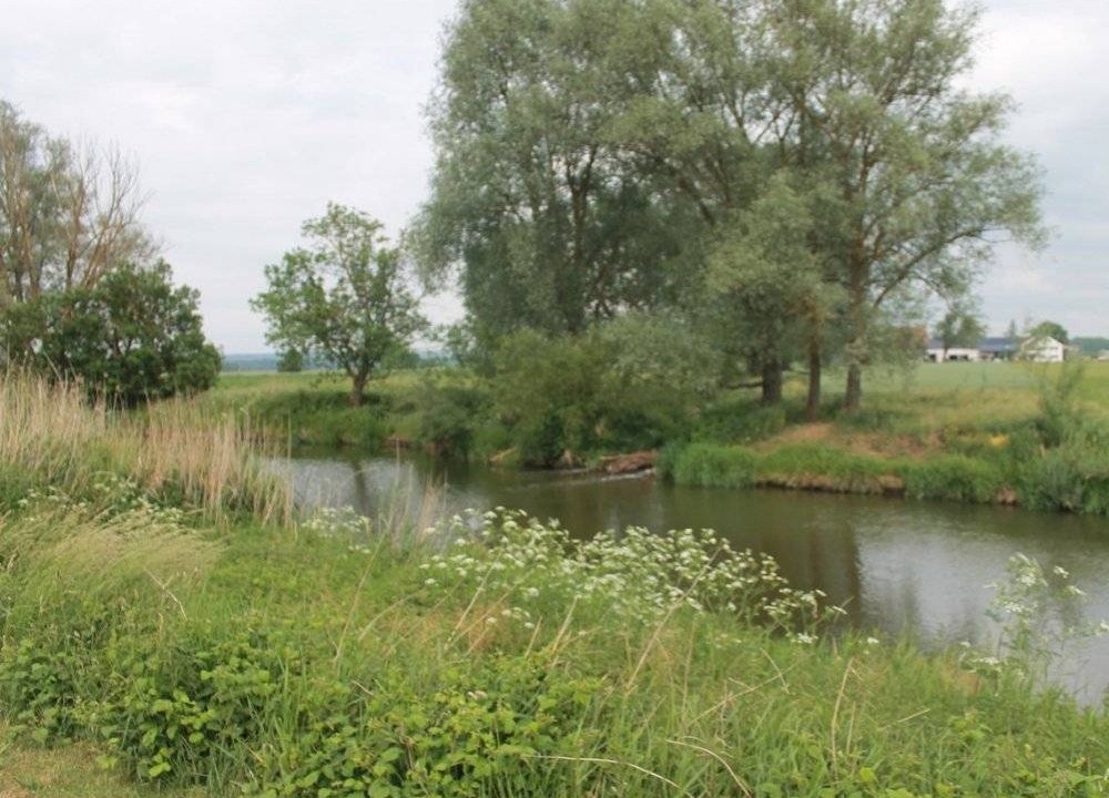 Photo of Others in Wechingen