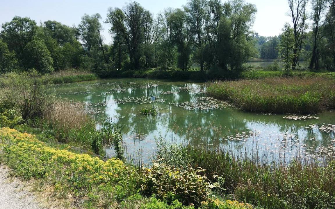Photo of Others in Hartkirchen