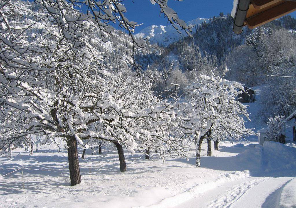 Photo of Others in Bad Oberdorf