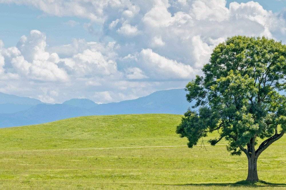 Photo of Others in Obing