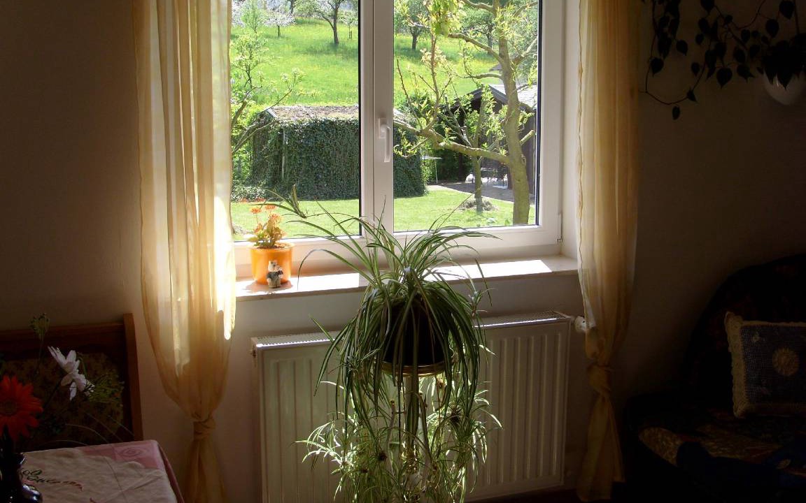 Photo of Others in Eggenbach