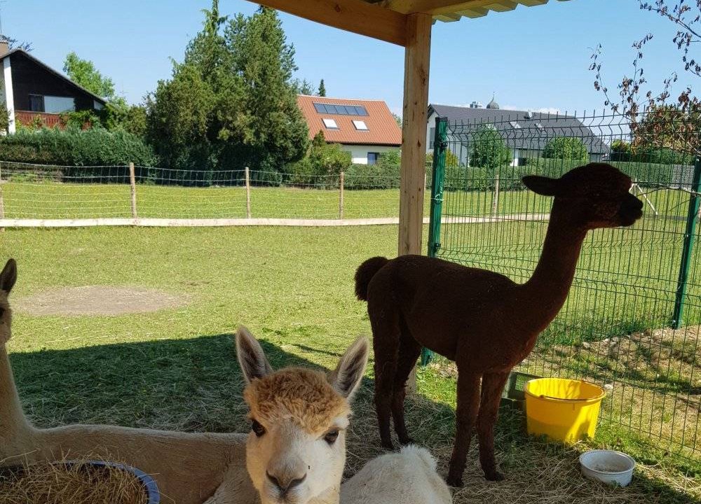 Photo of Others in Unterallgau