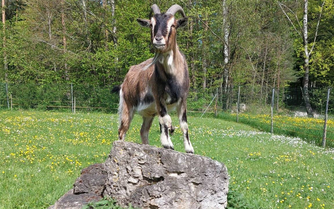 Photo of Others in Pottenstein
