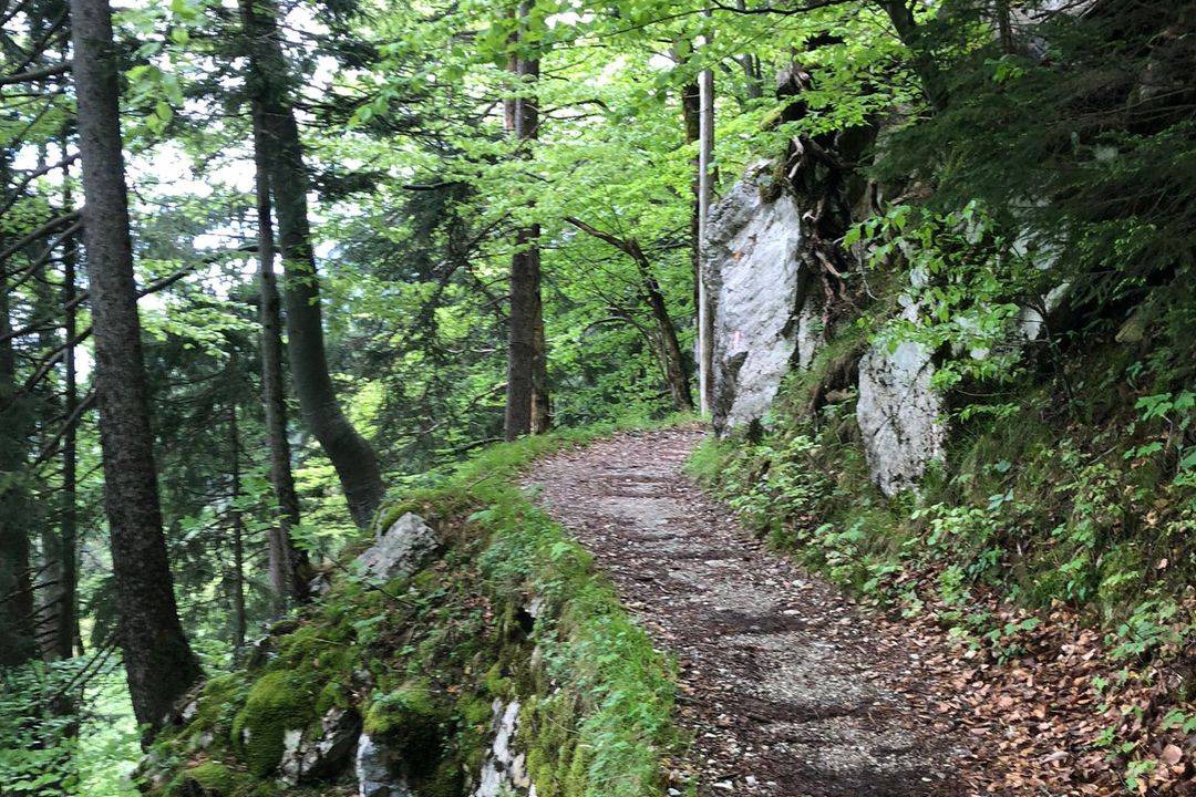 Photo of Others in Hohenaschau im Chiemgau