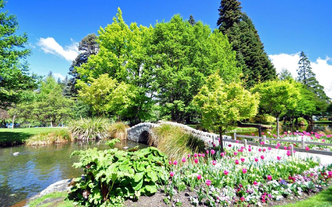 Photo of Others in Queenstown