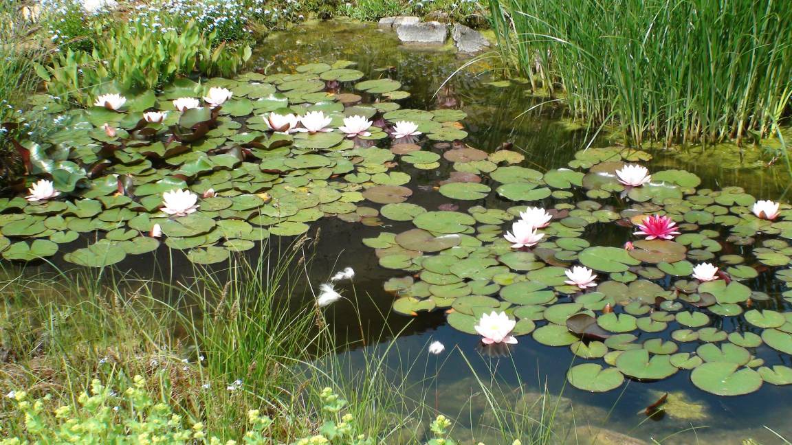 Photo of Others in Sulzdorf an der Lederhecke