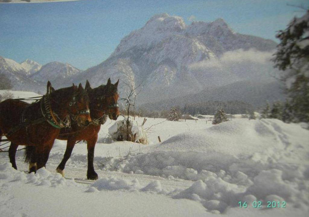 Photo of Others in Fuessen
