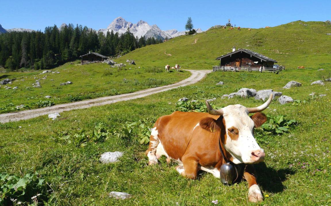 Photo of Others in Oberschonau