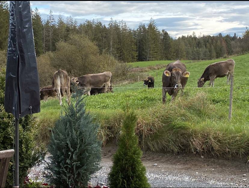 Photo of Others in Dietmannsried