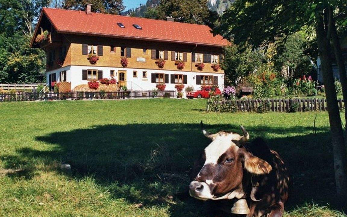 Photo of Others in Bad Oberdorf