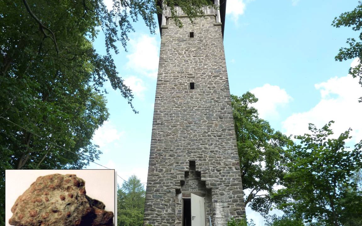 Photo of Others in Stammbach