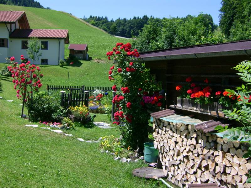 Photo of Others in Inzell