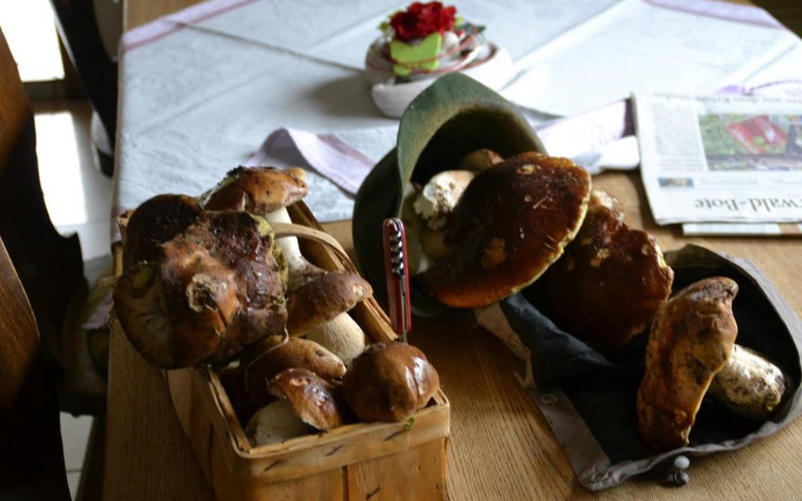 Photo of Kitchen in Arnbruck