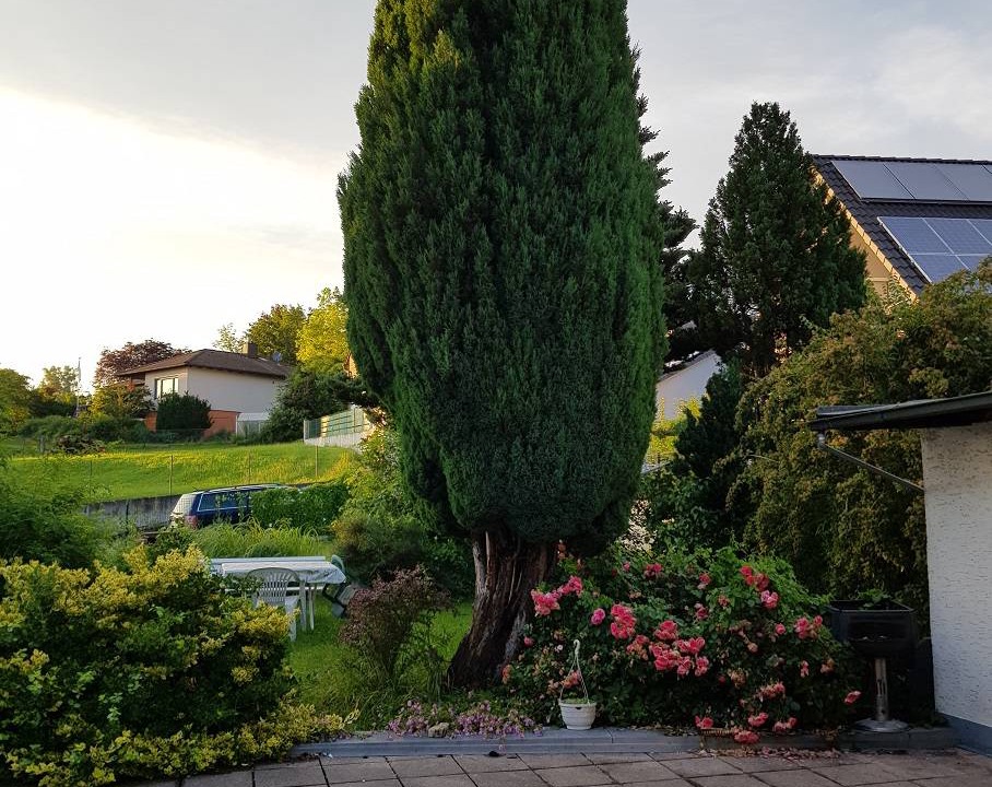 Photo of Others in Altenstadt an der Waldnaab