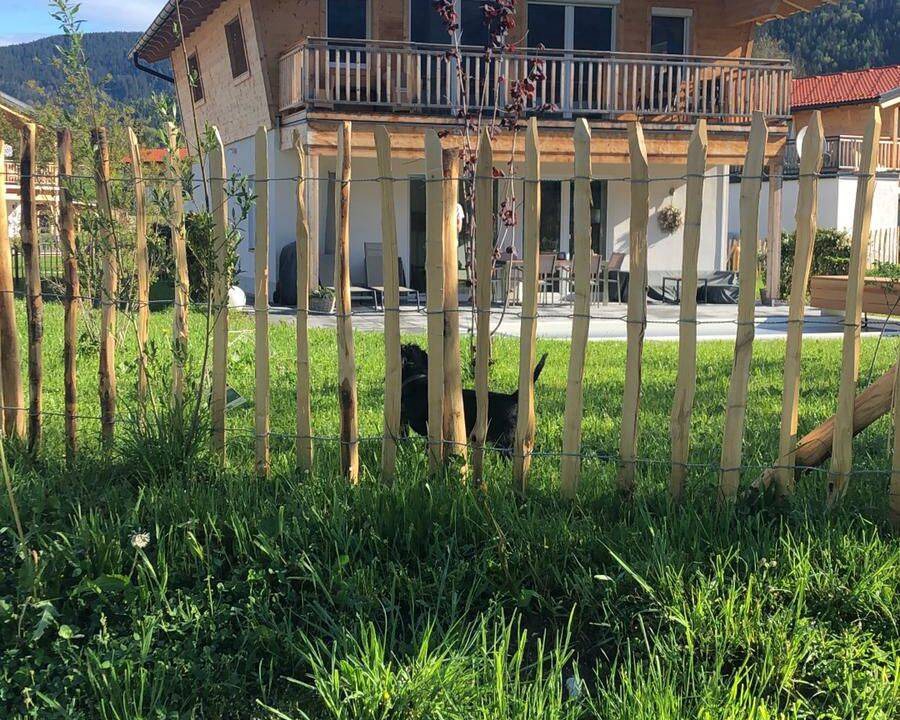 Photo of Others in Inzell