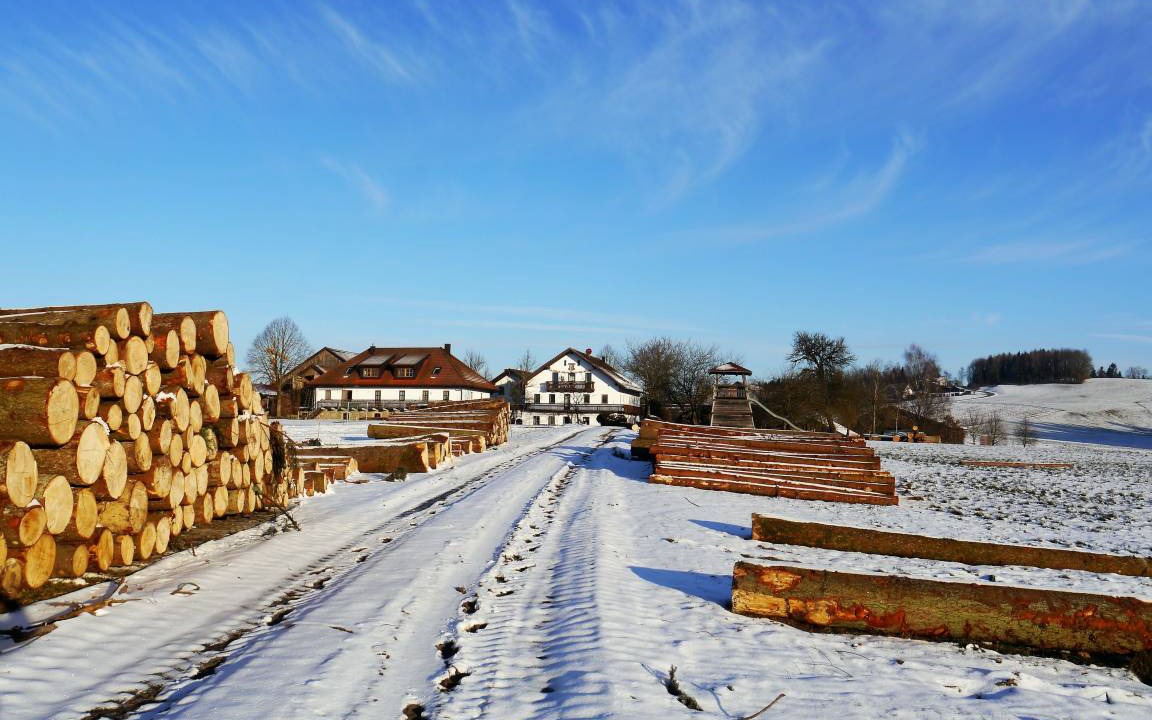 Photo of Buildings in Buechlberg