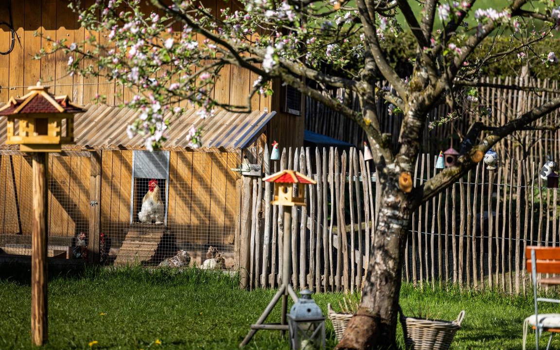 Photo of Others in Bischofswiesen