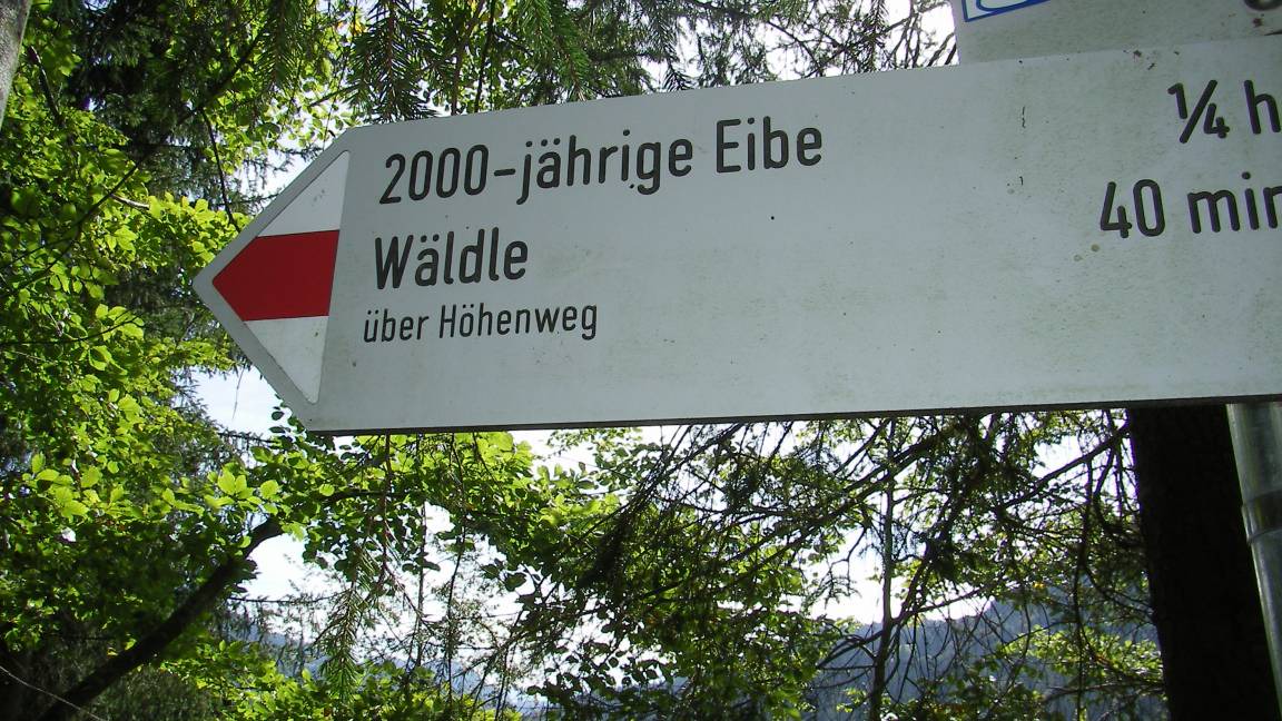 Photo of Others in Balderschwang