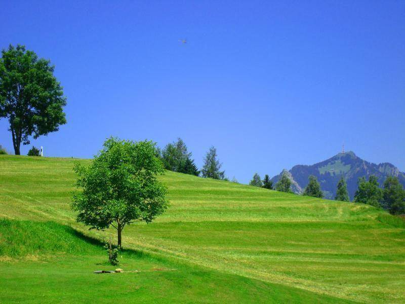 Photo of Others in Ofterschwang