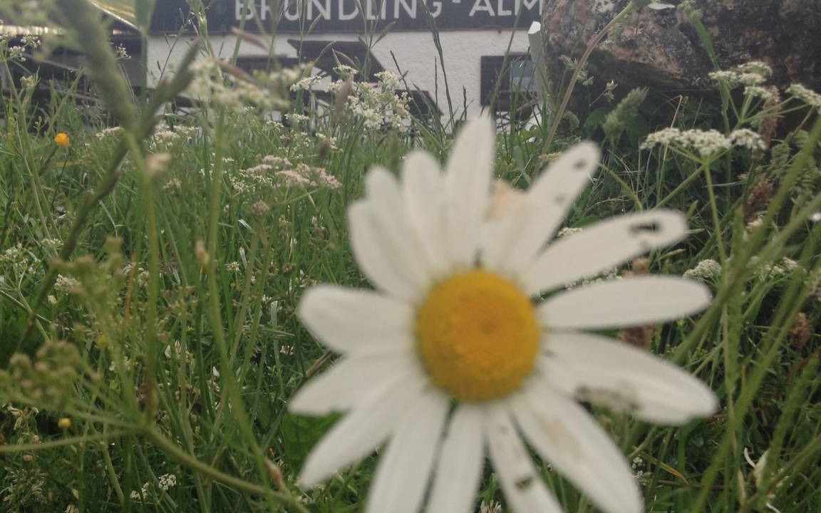 Photo of Outdoor in Bergen