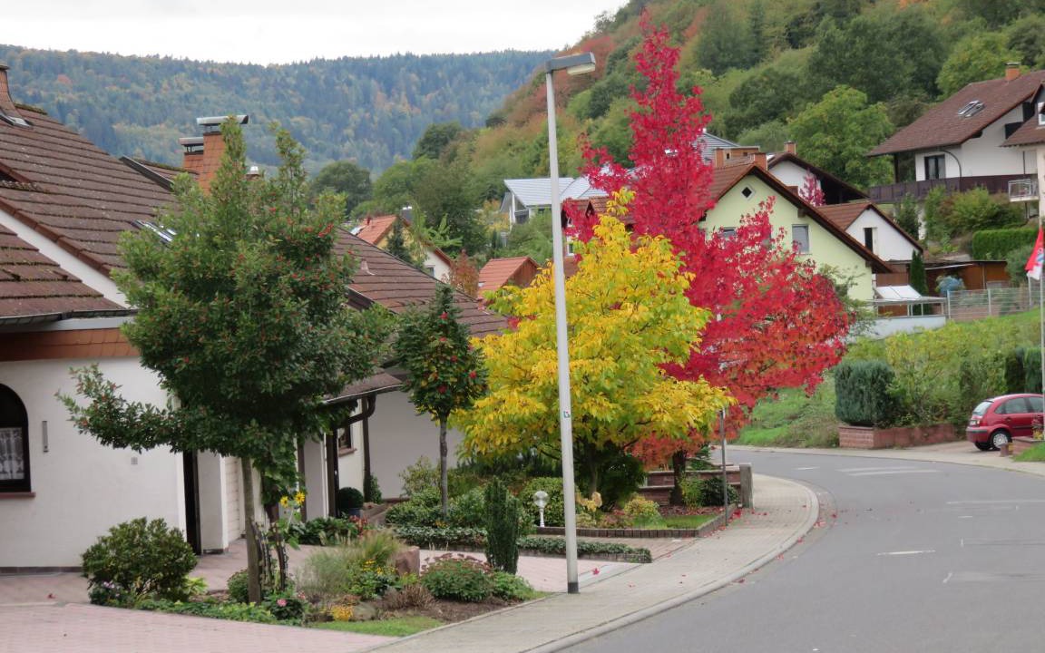 Photo of Others in Grossheubach