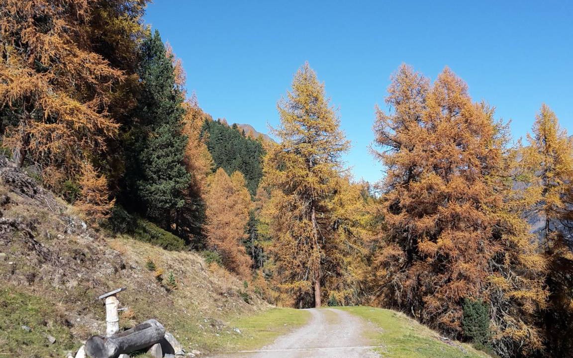 Photo of Others in Sankt Leonhard im Pitztal