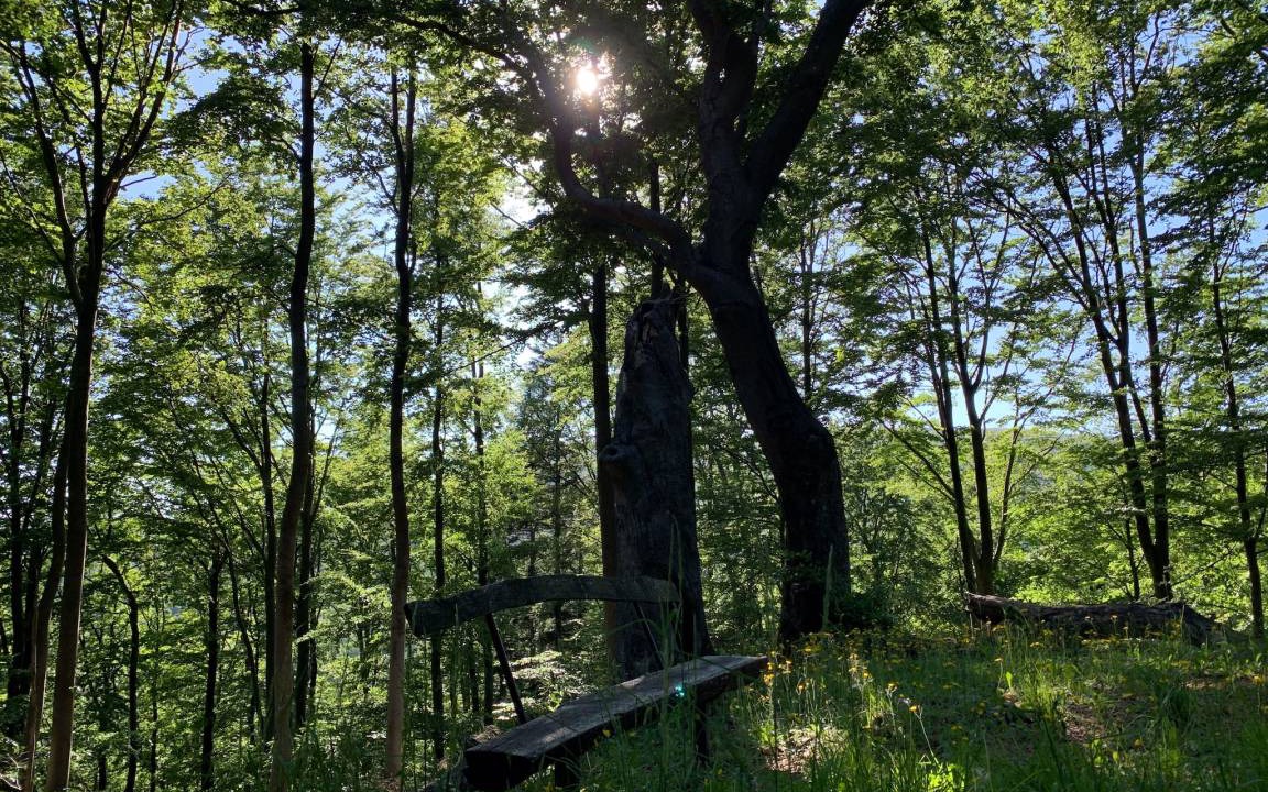 Photo of Others in Kilianshof