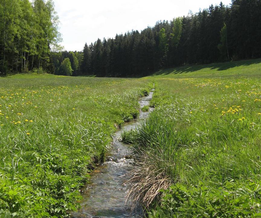 Photo of Others in Bad Alexandersbad