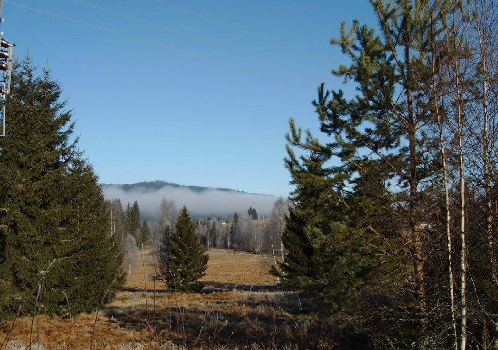 Photo of Others in Haidmuhle