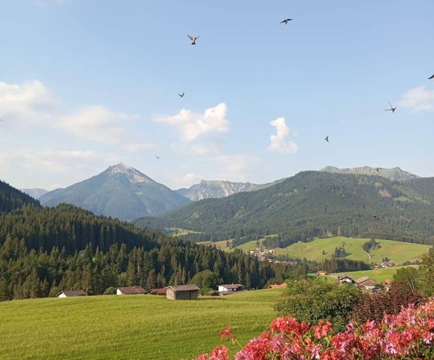 Photo of Others in Achenkirch
