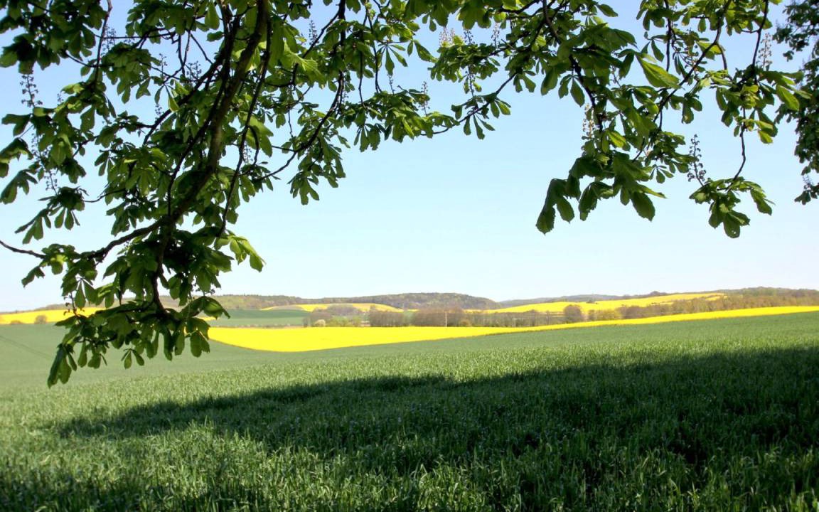 Photo of Others in Gohren