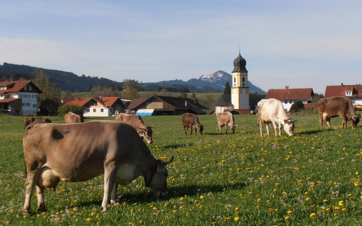 Photo of Others in Oy-Mittelberg