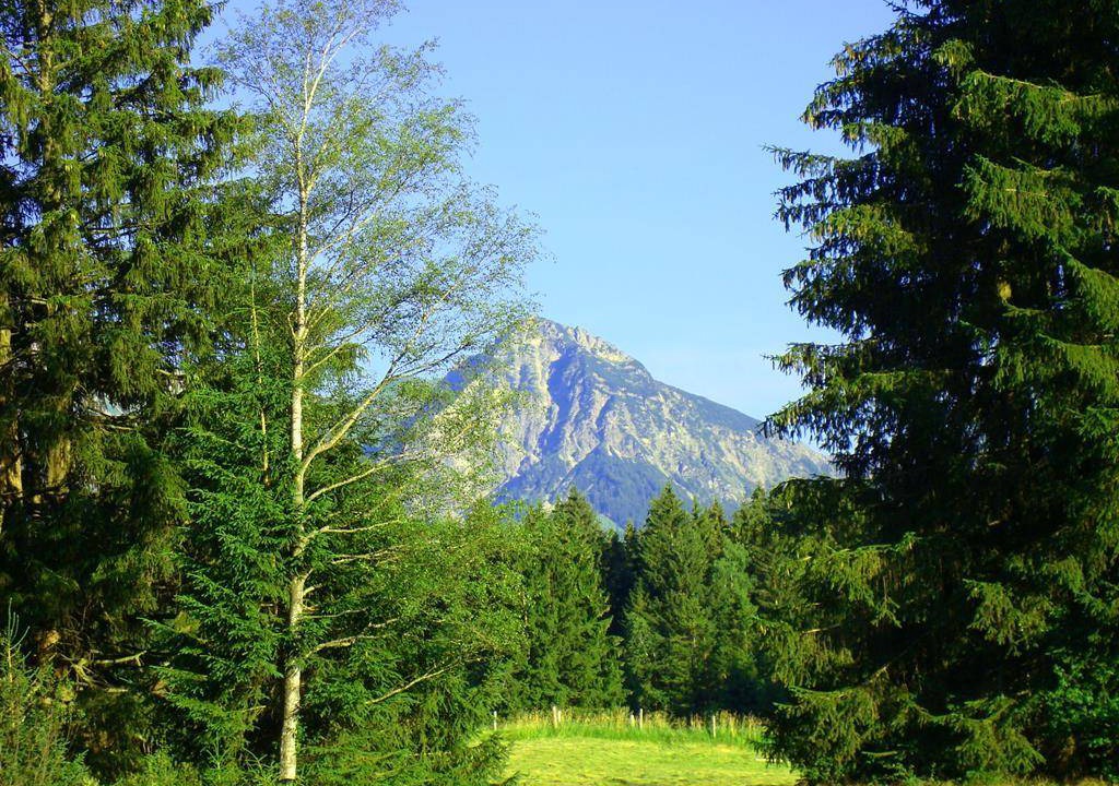 Photo of Others in Ofterschwang