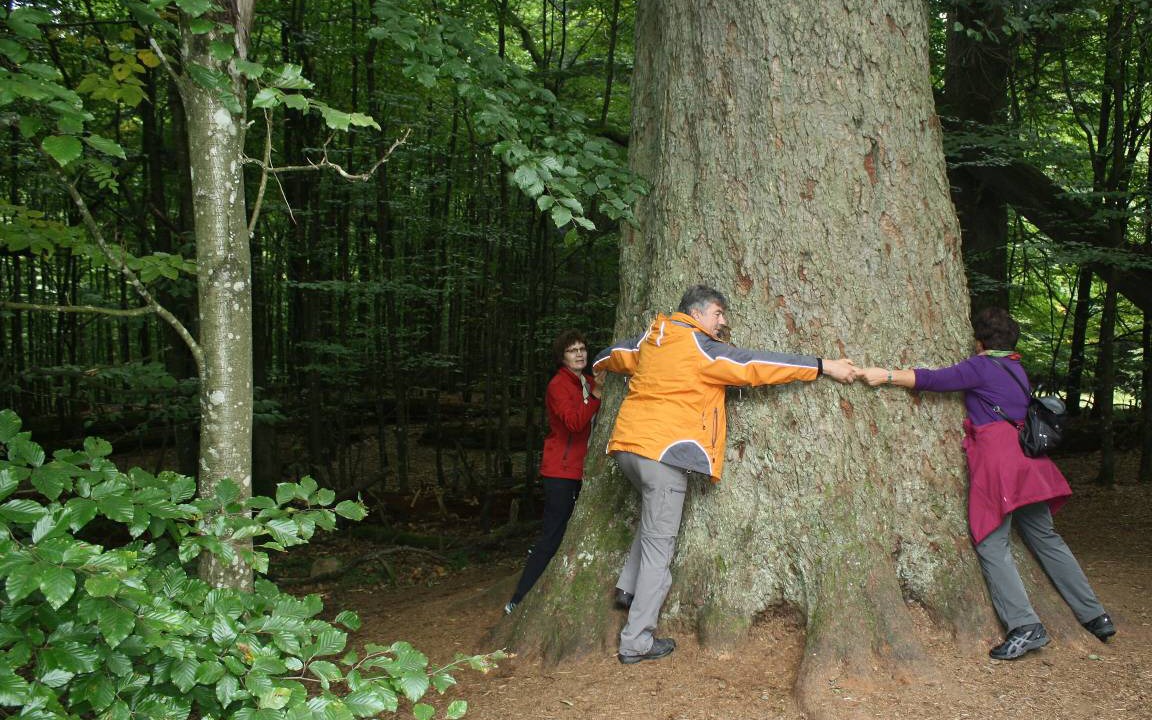 Photo of Others in Fuersteneck