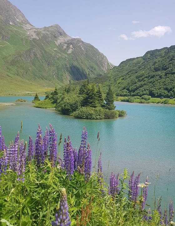 Photo of Outdoor in Paznaun