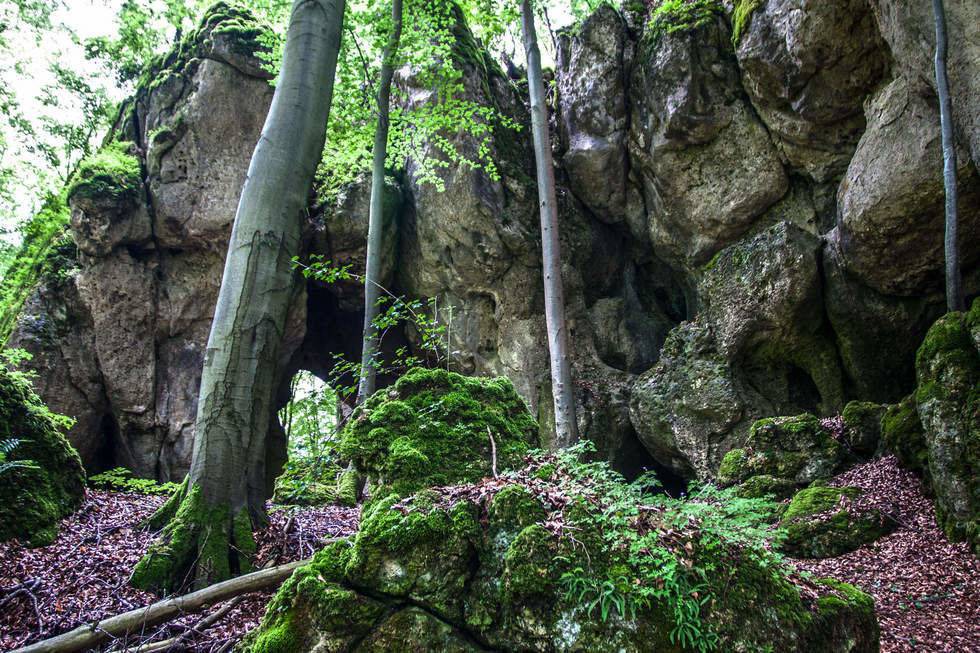 Photo of Others in Koenigstein