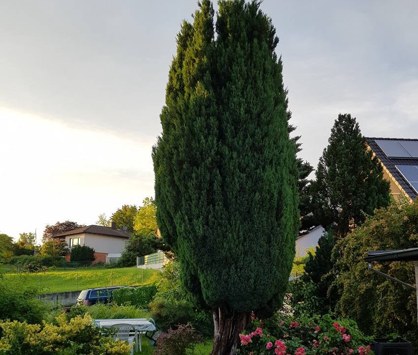Photo of Outdoor in Altenstadt an der Waldnaab