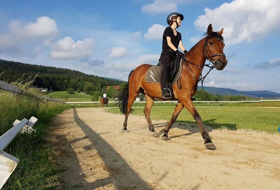 Photo of Others in Neureichenau