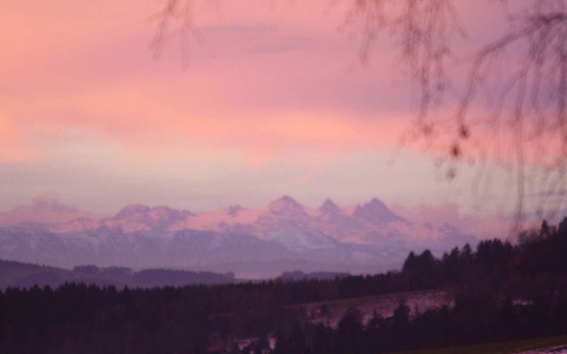 Photo of Others in Fuersteneck