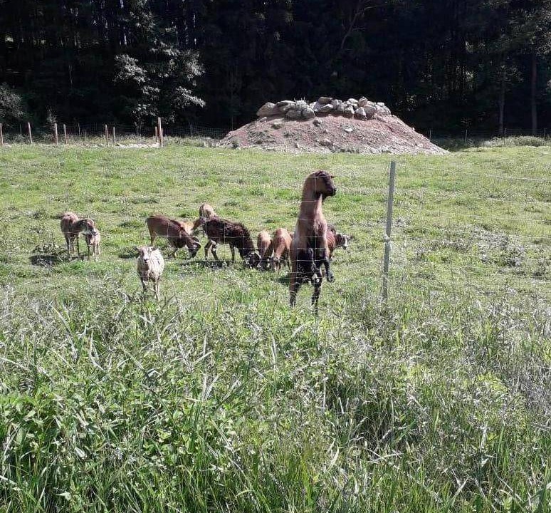 Photo of Others in Eppenschlag
