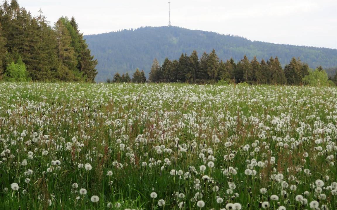 Photo of Others in Bischofsgruen